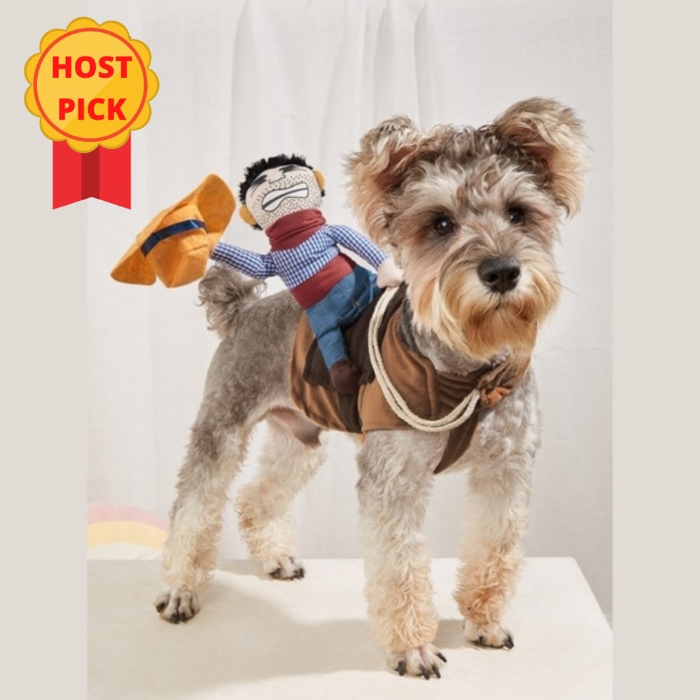 Cowboy Pet Costume